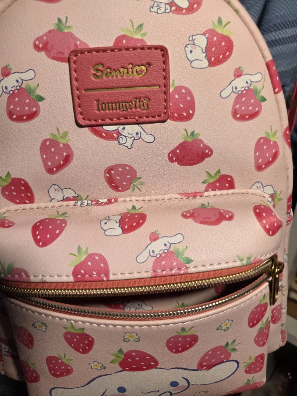 Sanrio cute cinnamoroll